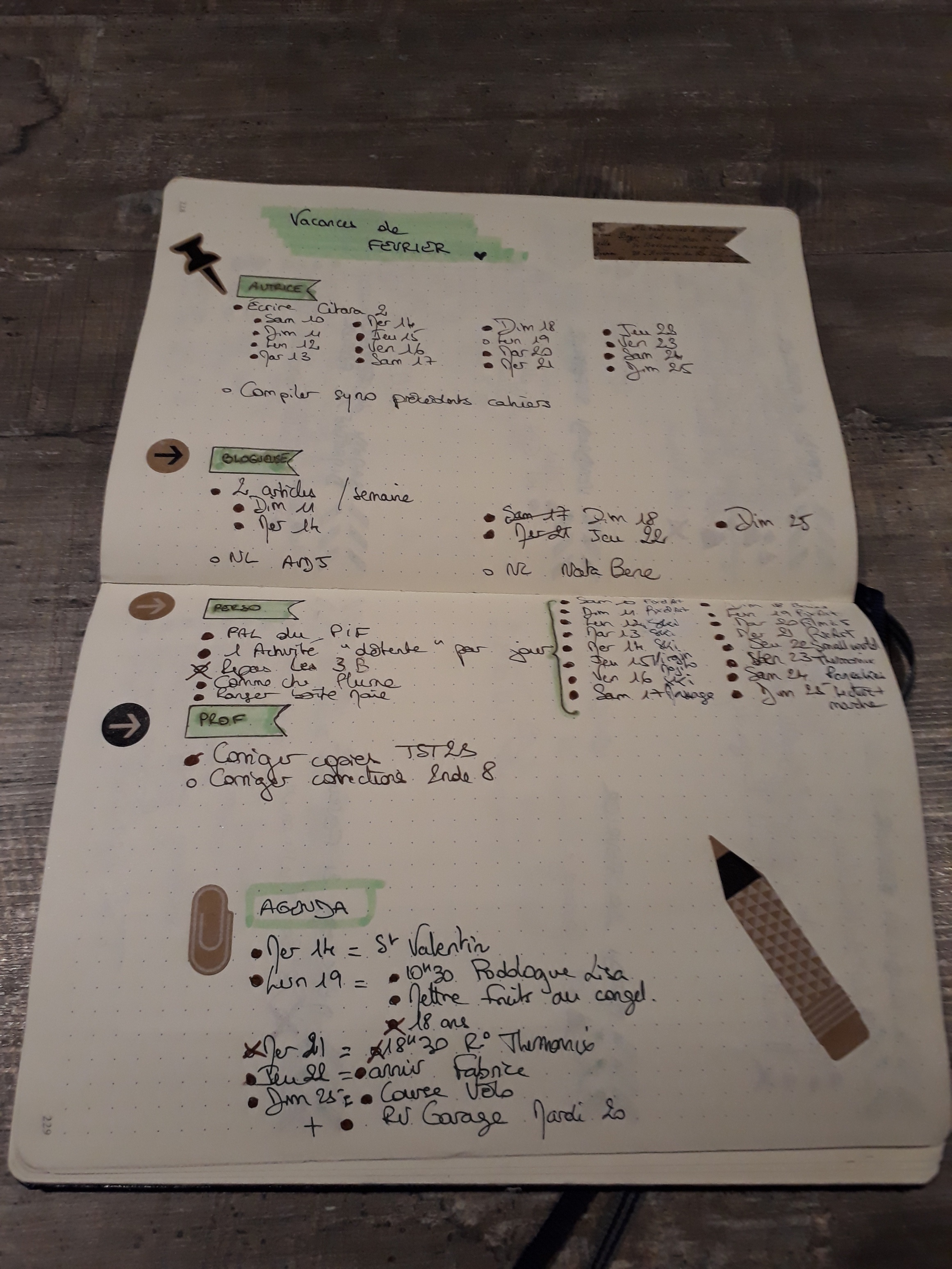 Bilan de mes vacances de février : vive le Bujo !