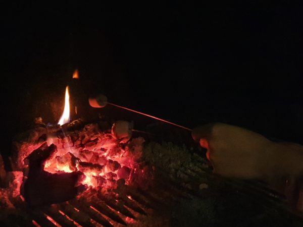 En train de faire griller des chamallows dans la cheminée le 31 décembre