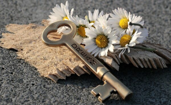 image montrant des marguerites et une clé sur laquelle il est écrit "dream"