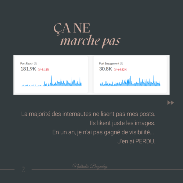 image montrant les statistiques Publer de Nathalie en un an
