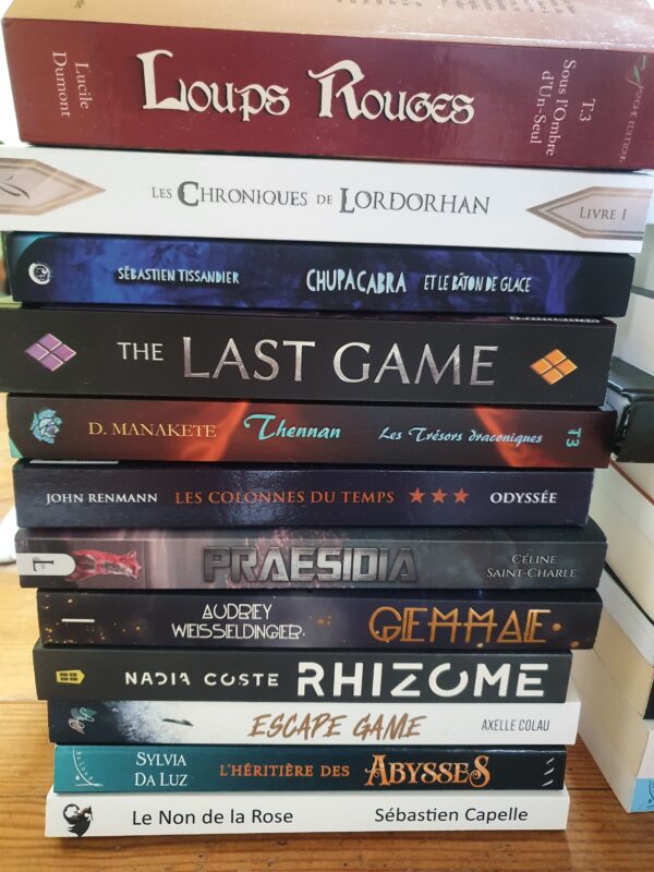 La première pile
