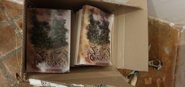 exemplaires auteur Amazon abîmés : les livres présentent des coins cornés car ils sont mal calés dans le carton d'expédition